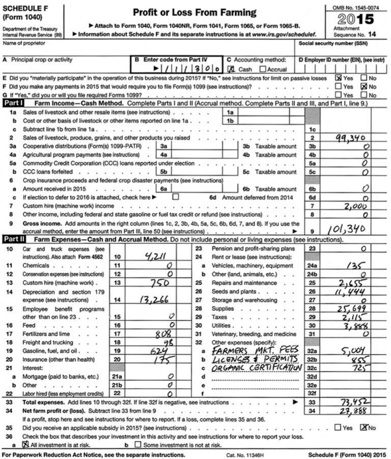 Farm Income Statement Form Farming and Finances: Profit or Loss from Farming