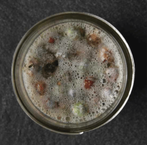active fermentation