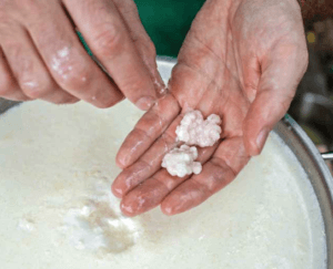 kefir