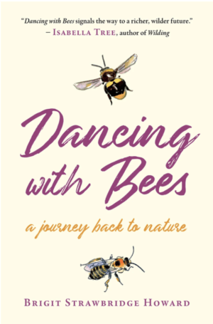dancing with bees