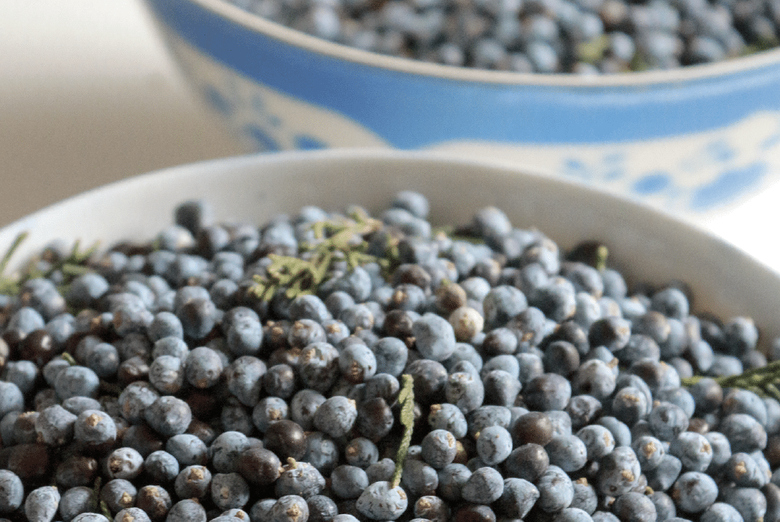 Juniper berries in a bowl