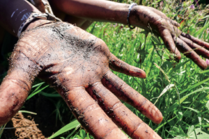 soil-kissed hands