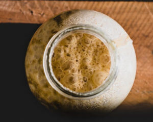 Sourdough growing in jar