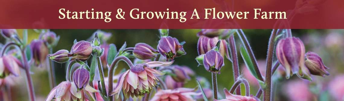 Banner: pink-purple flowers in bloom with the title 'Starting & Growing A Flower Farm' across the top.