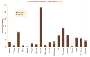 Graph of tappable butternut trees