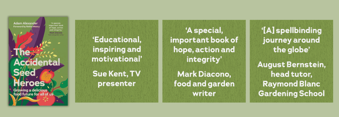 The Accidental Seed Heroes The Accidental Seed Heroes