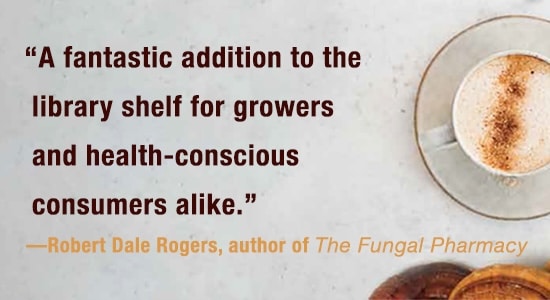 The Mycelial Healer_mobile