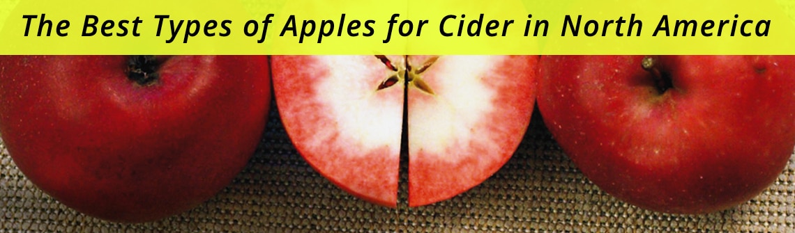 Hero image showing two whole red apples with a sliced apple in the center on a woven background, overlaid text: 'The Best Types of Apples for Cider in North America'
