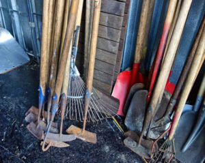 Shed filled with shovels, rakes, and hoes