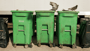 Green trash bins