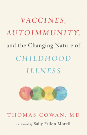 Vaccines, Autoimmunity, and the Changing Nature of Childhood Illness cover