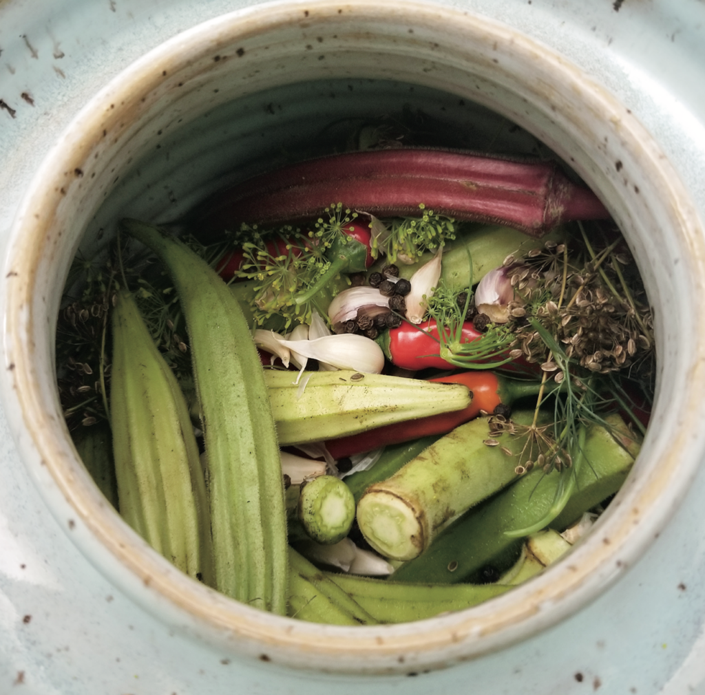 fermented Okra