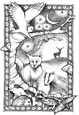 Night animals illustration