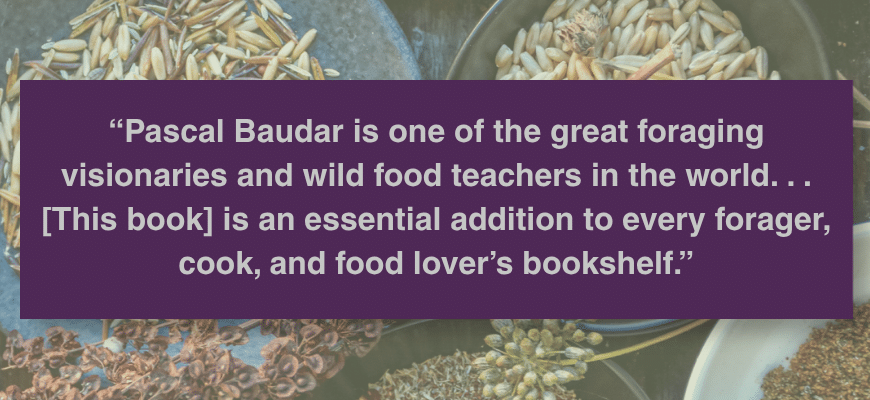 Quote praising Pascal Baudar as a leading foraging visionary and wild food teacher; calls the book essential for foragers, cooks, and food lovers.