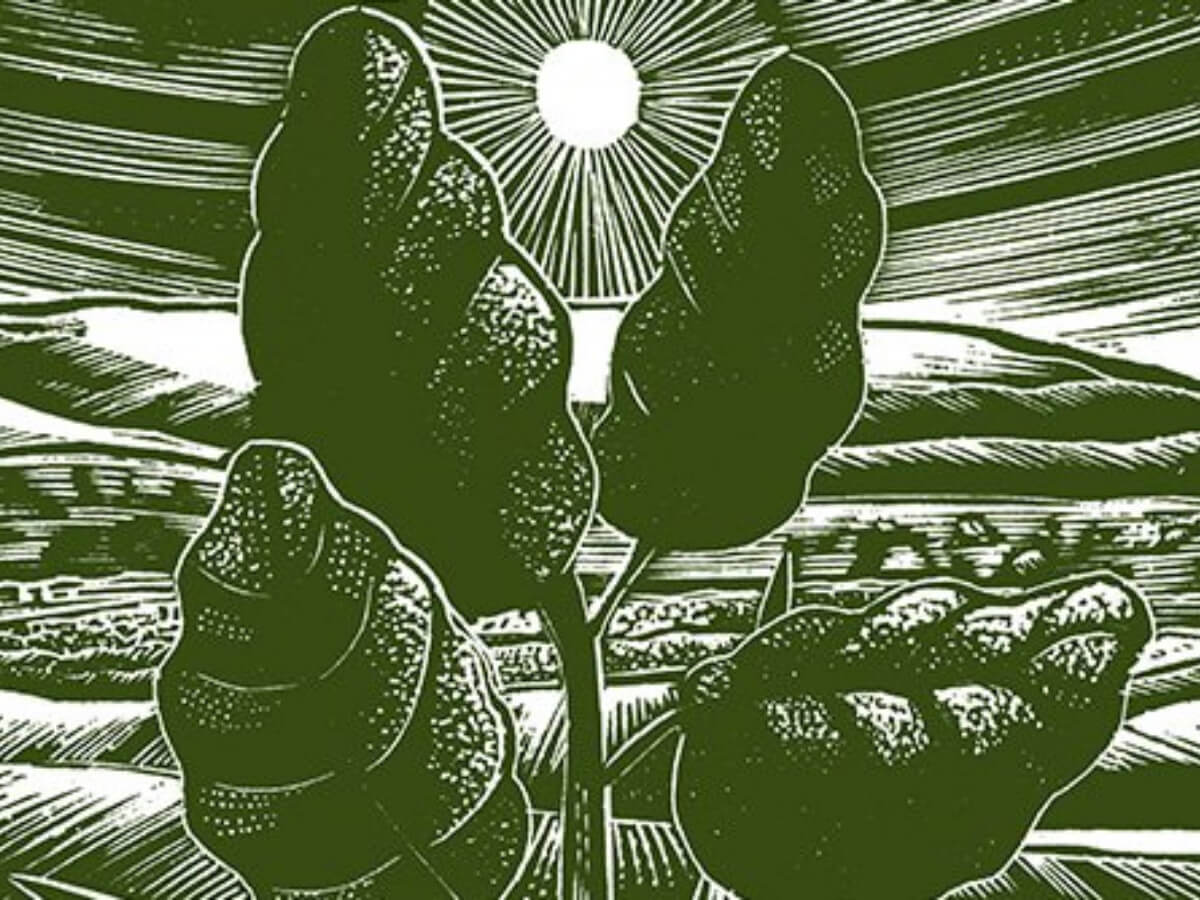 About Chelsea Green Chelsea Green Publishing