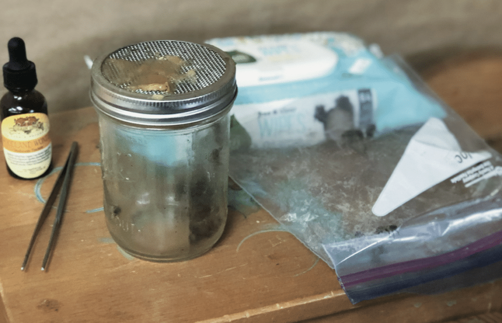 honey bee venom therapy