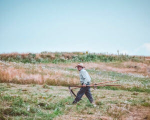 Farmer walking through a field
