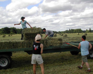 farmers helping each other