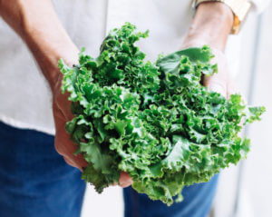 person holding lettuce