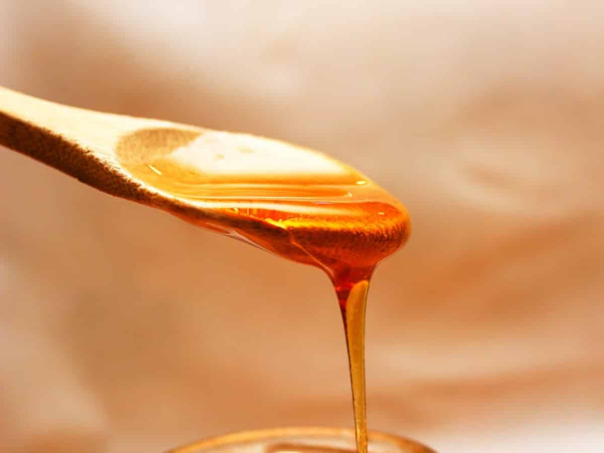 Recipe GingerApricot Mead Chelsea Green Publishing