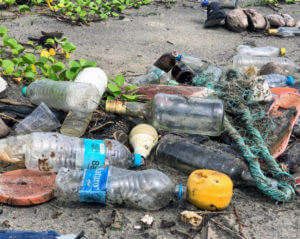 plastic waterbottles washed up on a beach