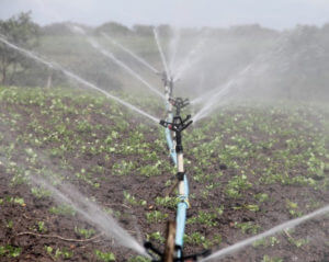 irrigation running through farm land