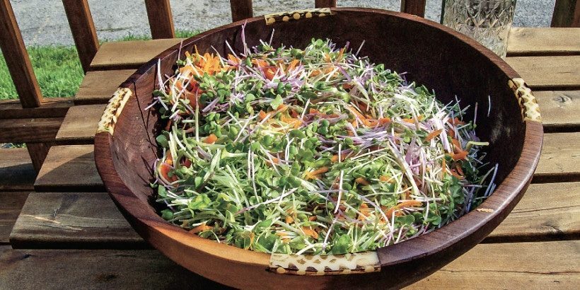 All-Star-All-Sprout-Salad-panorama