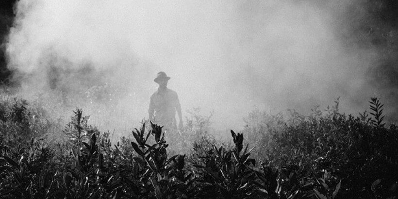 Bannersnack_pesticides_APrecautionaryTale-panorama pesticides