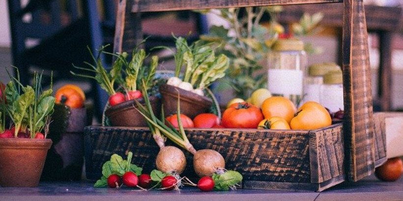 CSA_leadimage_bannersnack