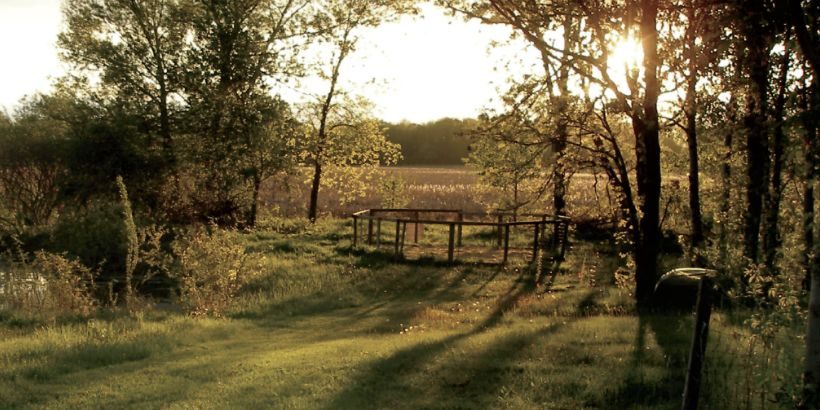 Coer_IntergratedForestGardening_Blog Coer_IntergratedForestGardening_Blog