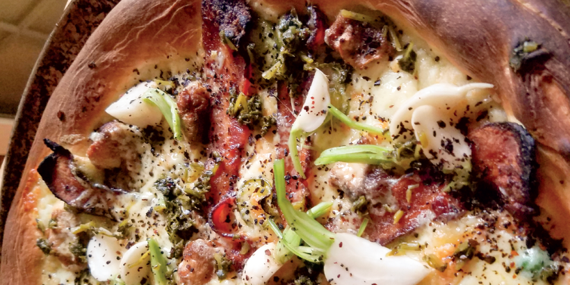 Common Milkweed Banner_ForageHarvestFeast Common Milkweed Banner_ForageHarvestFeast