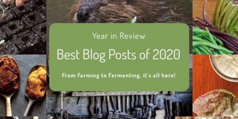 Copy of 2020 top posts-Medium-Quality