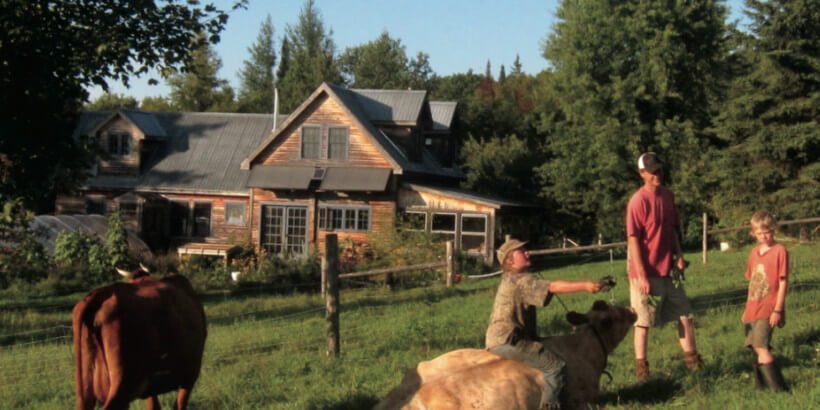 Homesteading Month-Blog Image farm animals and a house