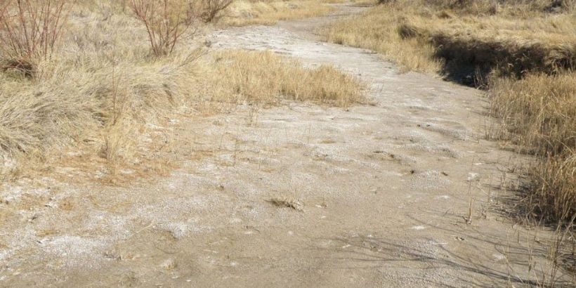 Dry_creek_bed_Quivira_Refuge