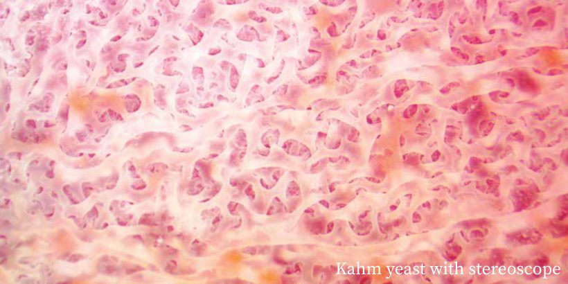 FAM_bubblingfermentation_banner FAM_bubblingfermentation_banner