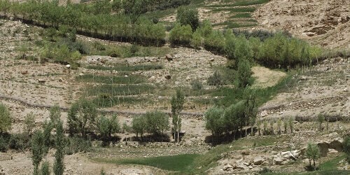 GrowingFood_tajikistan