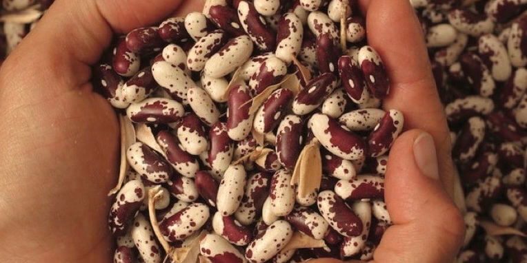 OSGlead-panorama OSGlead