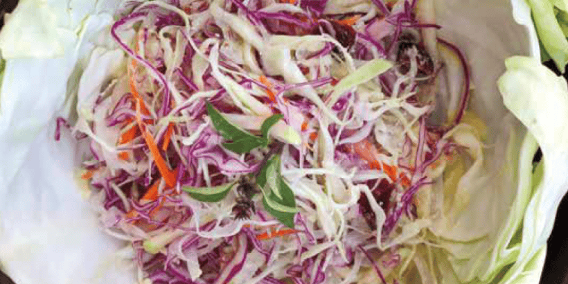 Rainbow Coleslaw_Banner_The Healthy Bones Plant-Based Nutrition Plan and Cookbook