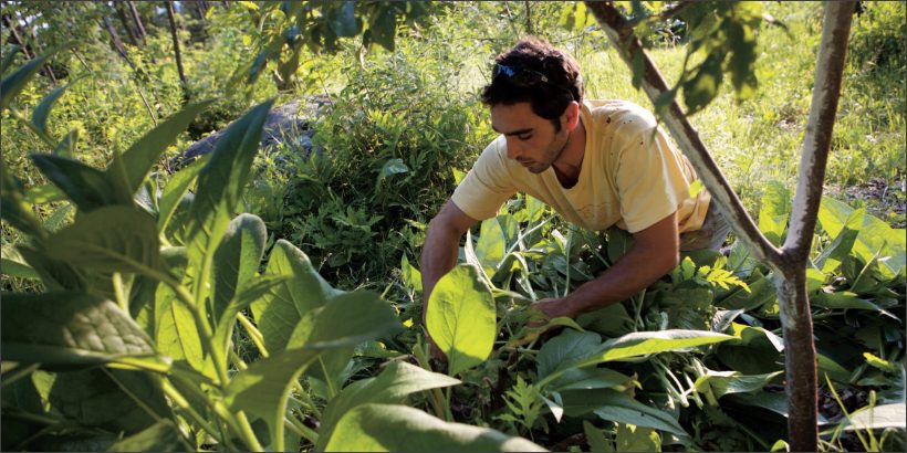 ResilientFarmHomestead_BenFalk-Max-Quality Author Ben Falk