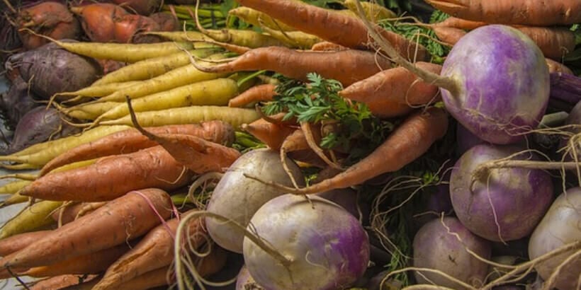 Carrots, Turnips, Parsnips, and other Root Veggies