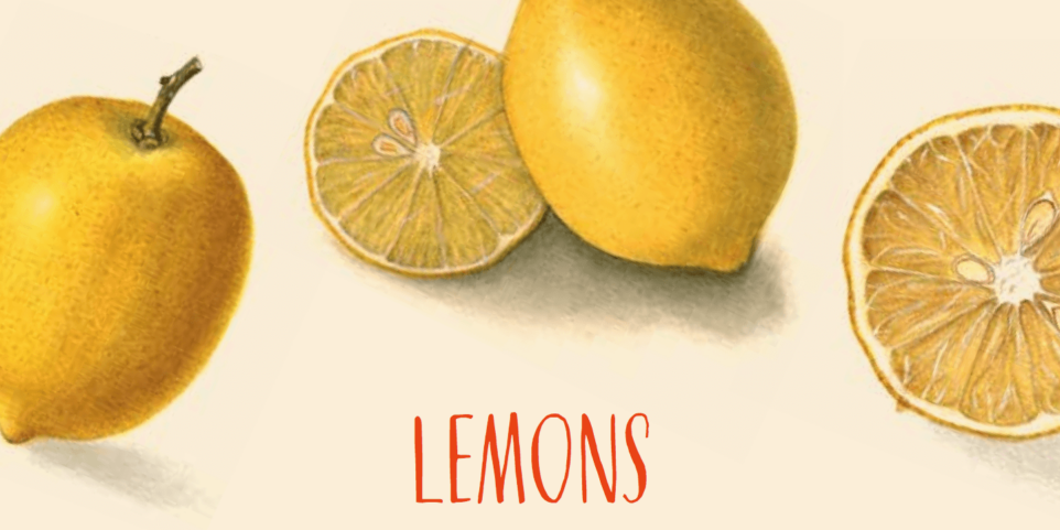 Screen Shot 2018-05-04 at 11.33.35 AM lemons