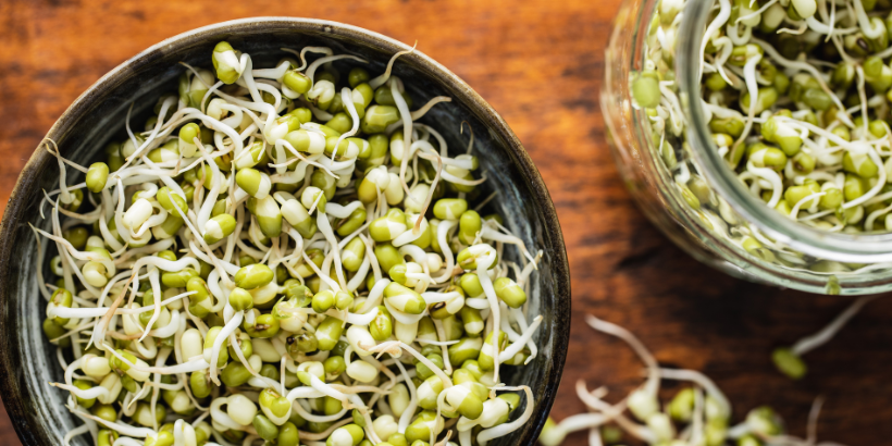 Bowl of fresh mung bean sprouts on a wooden table with more sprouts in a jar nearby.