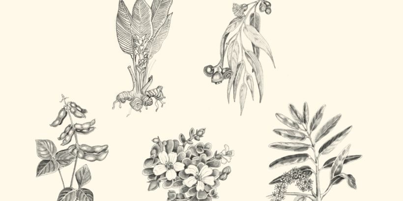 The Cumulative Index_Banner The Cumulative Index_Banner