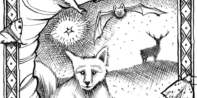 WildNightsOut_NightAnimals-Max-Quality night animals illustration