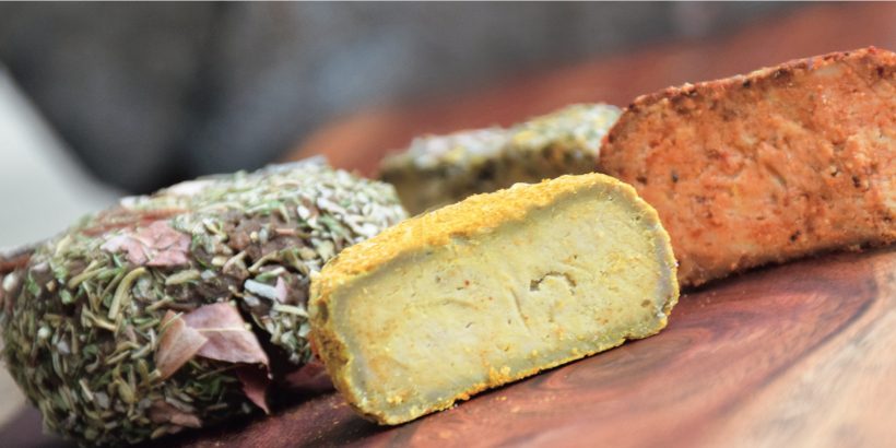 WildcraftedFermentation_HardCheesesCut-Max-Quality WildcraftedFermentation_HardCheesesCut-Max-Quality