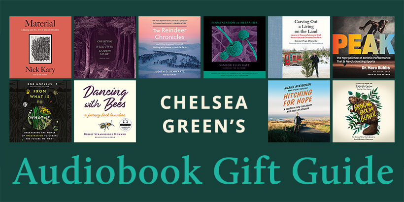 audiobooks-giftguide-blog_820-410