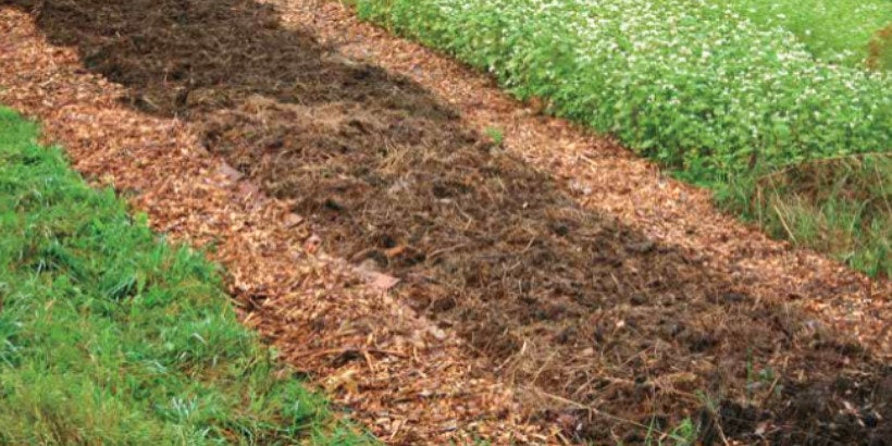 Mulch permaculture