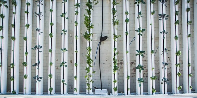 bannersnack_vertical gardening vertical gardening