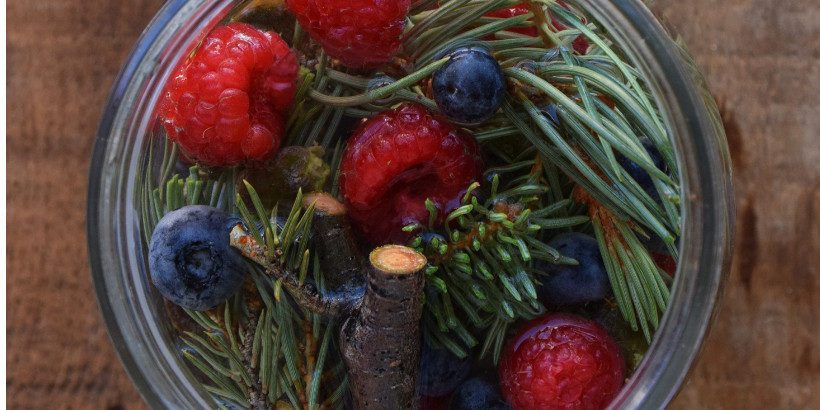 berrysoda_wildcraftingbrewer_book raspberry and blueberry soda