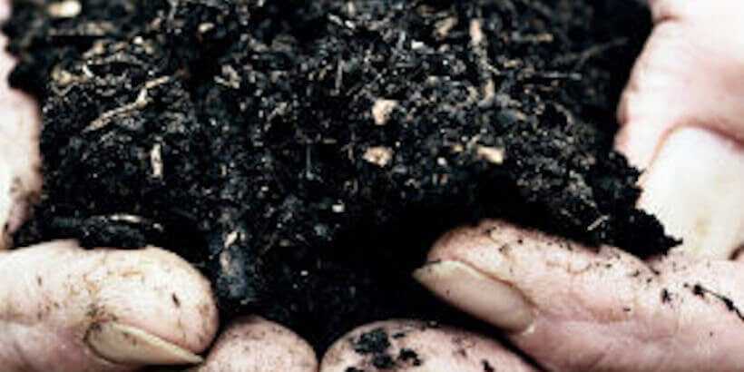 blog feature image_Compost